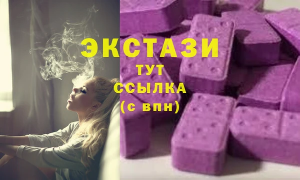 apvp Алзамай