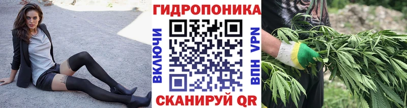 Купить закладки Грозный Бошки марихуана тримм